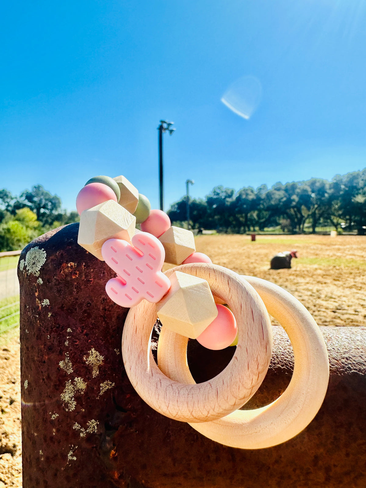 Pink & Sage Cactus Rattle